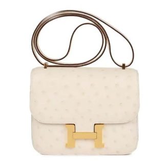 Hermes Women Constance 19 Bag Nata Ostrich Leather-WhiteGold