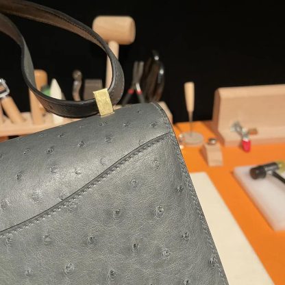 Hermes Women Constance 24 Bag Nata Ostrich Leather-SilverGold - 图片 10