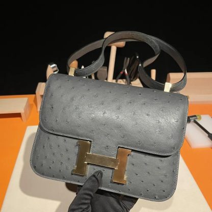 Hermes Women Constance 24 Bag Nata Ostrich Leather-SilverGold - 图片 6