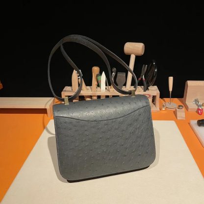 Hermes Women Constance 24 Bag Nata Ostrich Leather-SilverGold - 图片 7