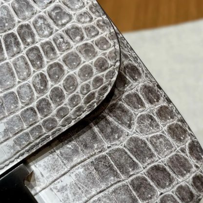 Hermes Women Constance 24 Himalaya Matte Niloticus Crocodile Palladium Hardware - 图片 8