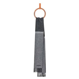 Loewe Unisex Scarf in Wool and Cashmere-Black
