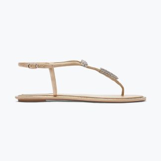 Rene Caovilla Women Serpente Nude Thong Sandal 10 C12048010R001V104