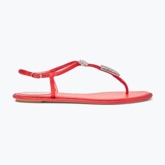 Rene Caovilla Women Serpente Red Thong Sandal 10 C12048010R001V126
